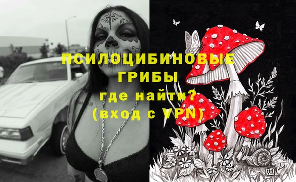 молекула духа Алзамай