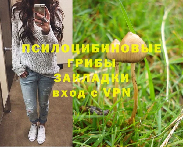 молекула духа Алзамай