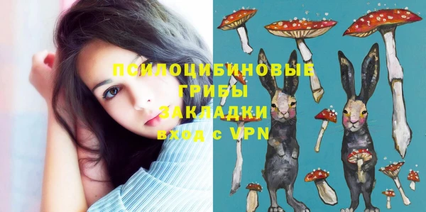 бутират Алексеевка