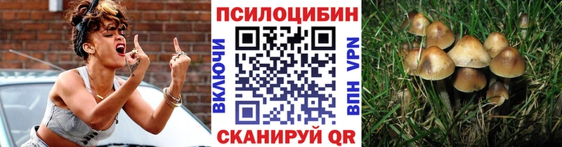 Псилоцибиновые грибы GOLDEN TEACHER Пикалёво